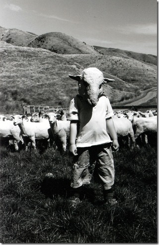 Sheep series - Farm Boy